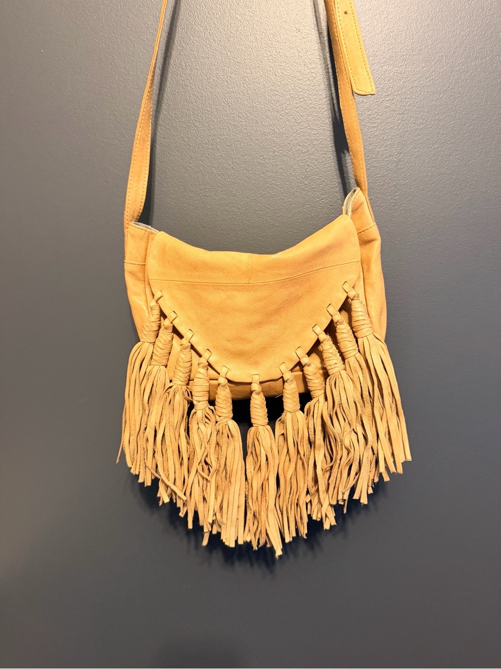 Fringe Leather Crossbody Bag by Day & Mood